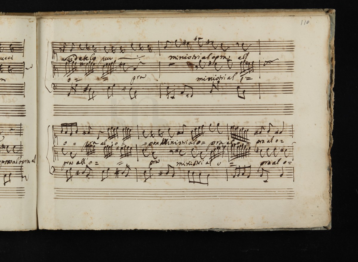 BB361_221.jpg