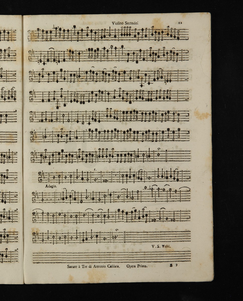 DD221_067.jpg