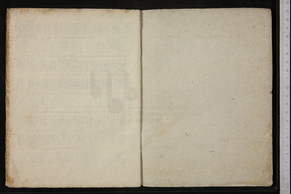 IBc_S153A_016.jpg
