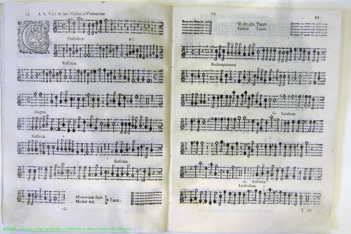 X252_345.jpg